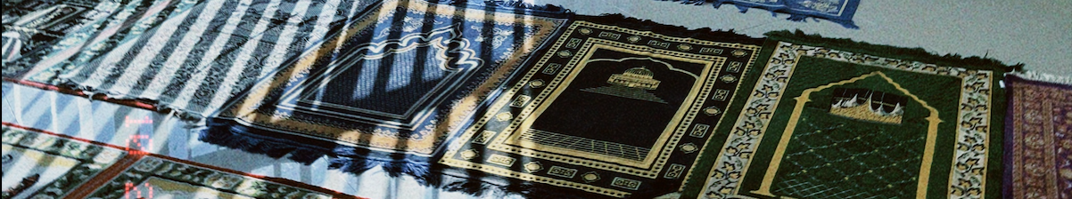 Section visual one
